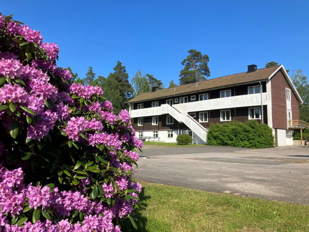 Annexmrododendron1.jpg